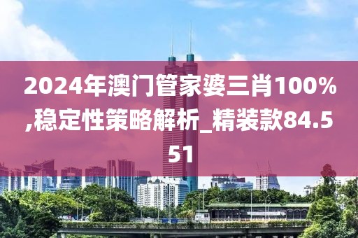 2024年澳门管家婆三肖100%,稳定性策略解析_精装款84.551