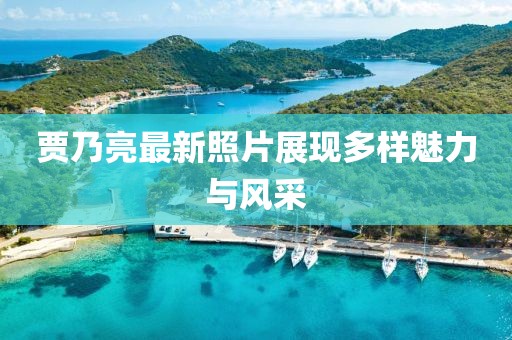 贾乃亮最新照片展现多样魅力与风采