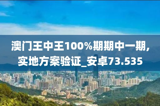 澳门王中王100%期期中一期,实地方案验证_安卓73.535