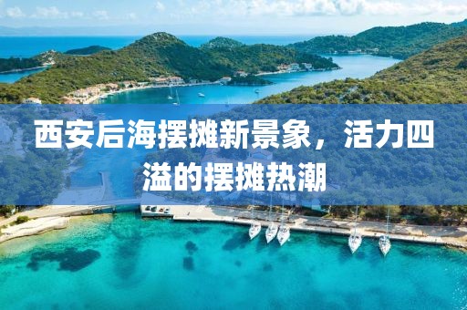 西安后海摆摊新景象，活力四溢的摆摊热潮