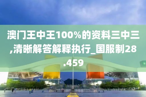 澳门王中王100%的资料三中三,清晰解答解释执行_国服制28.459