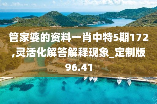 管家婆的资料一肖中特5期172,灵活化解答解释现象_定制版96.41