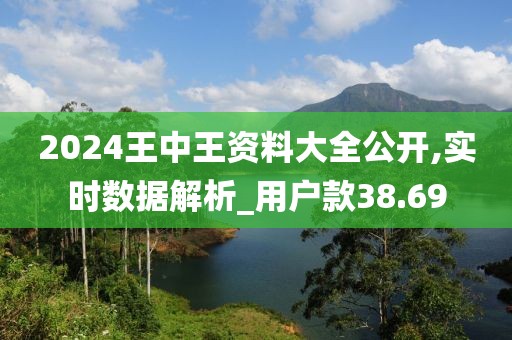 2024王中王资料大全公开,实时数据解析_用户款38.69