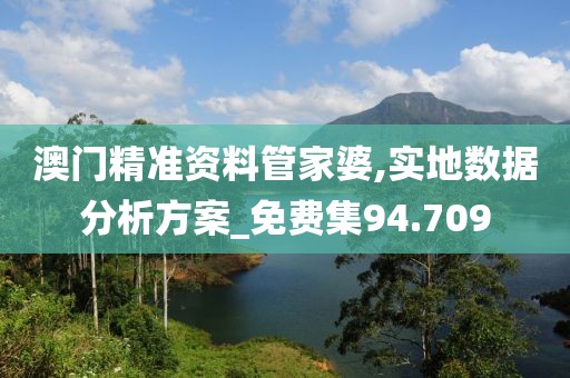 澳门精准资料管家婆,实地数据分析方案_免费集94.709