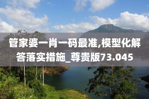 管家婆一肖一码最准,模型化解答落实措施_尊贵版73.045