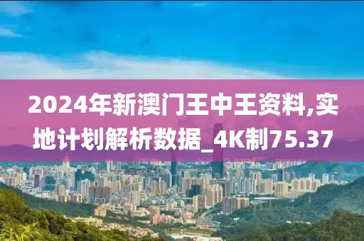 2024年新澳门王中王资料,实地计划解析数据_4K制75.37