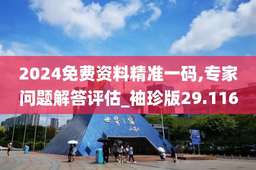 2024免费资料精准一码,专家问题解答评估_袖珍版29.116
