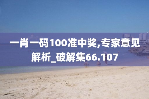 一肖一码100准中奖,专家意见解析_破解集66.107