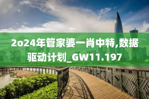 2o24年管家婆一肖中特,数据驱动计划_GW11.197