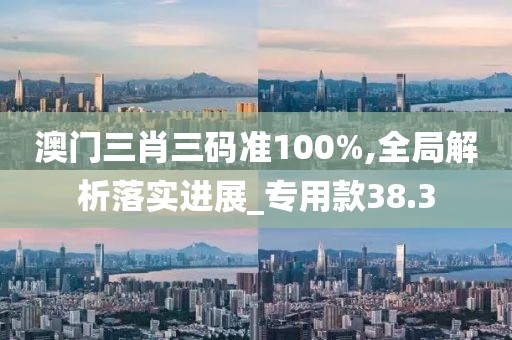 澳门三肖三码准100%,全局解析落实进展_专用款38.3