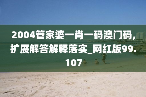 2004管家婆一肖一码澳门码,扩展解答解释落实_网红版99.107