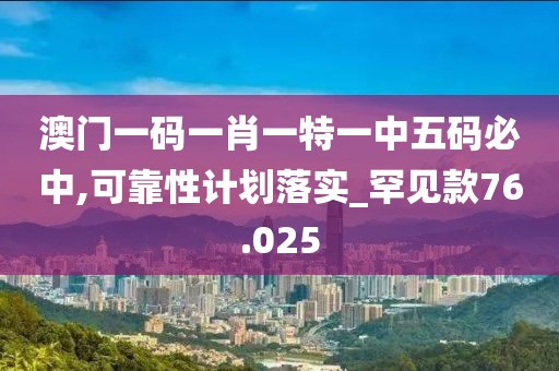 澳门一码一肖一特一中五码必中,可靠性计划落实_罕见款76.025