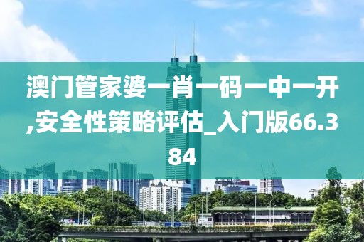 澳门管家婆一肖一码一中一开,安全性策略评估_入门版66.384