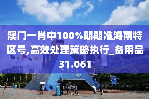 澳门一肖中100%期期准海南特区号,高效处理策略执行_备用品31.061