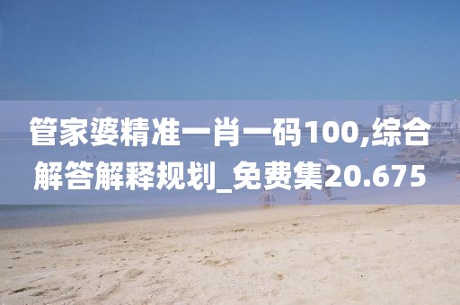 管家婆精准一肖一码100,综合解答解释规划_免费集20.675