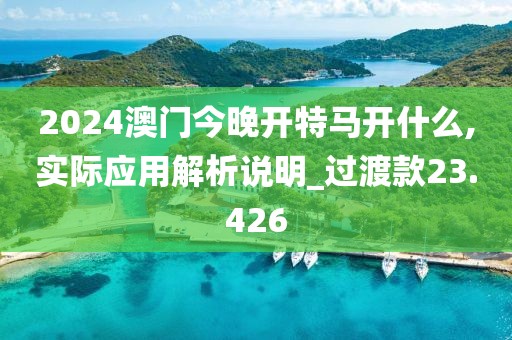 2024澳门今晚开特马开什么,实际应用解析说明_过渡款23.426