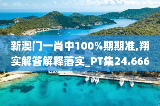 新澳门一肖中100%期期准,翔实解答解释落实_PT集24.666