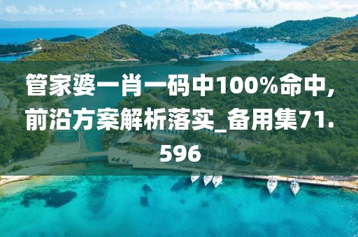 管家婆一肖一码中100%命中,前沿方案解析落实_备用集71.596