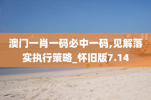 澳门一肖一码必中一码,见解落实执行策略_怀旧版7.14