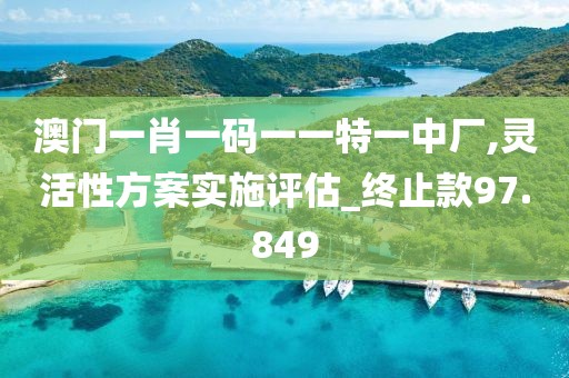 澳门一肖一码一一特一中厂,灵活性方案实施评估_终止款97.849