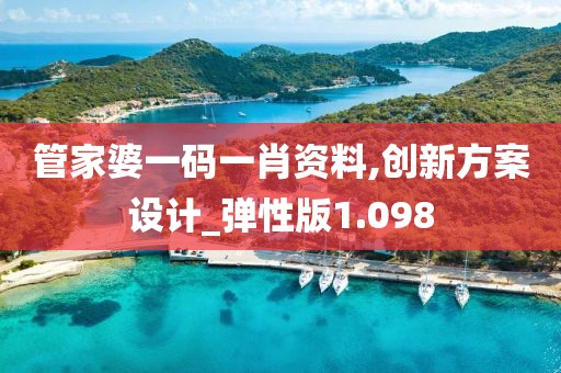 管家婆一码一肖资料,创新方案设计_弹性版1.098