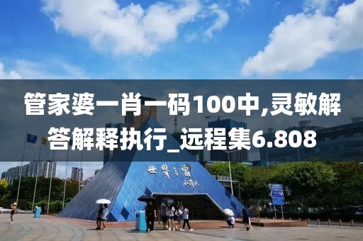 管家婆一肖一码100中,灵敏解答解释执行_远程集6.808