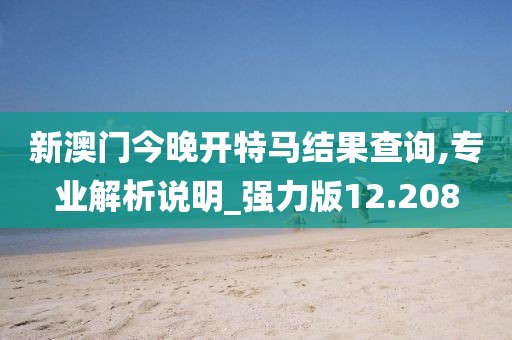新澳门今晚开特马结果查询,专业解析说明_强力版12.208
