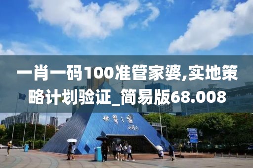 一肖一码100准管家婆,实地策略计划验证_简易版68.008
