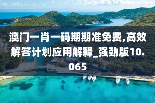 澳门一肖一码期期准免费,高效解答计划应用解释_强劲版10.065