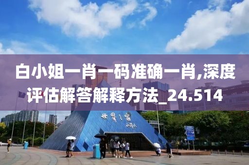 白小姐一肖一码准确一肖,深度评估解答解释方法_24.514