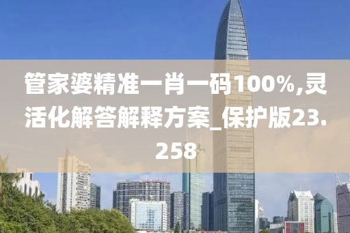 管家婆精准一肖一码100%,灵活化解答解释方案_保护版23.258