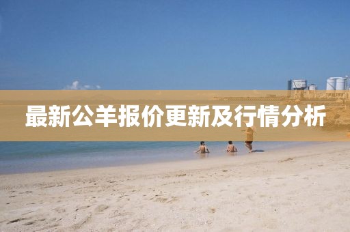 最新公羊报价更新及行情分析