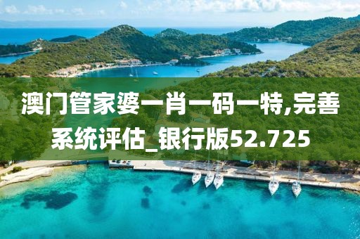 澳门管家婆一肖一码一特,完善系统评估_银行版52.725