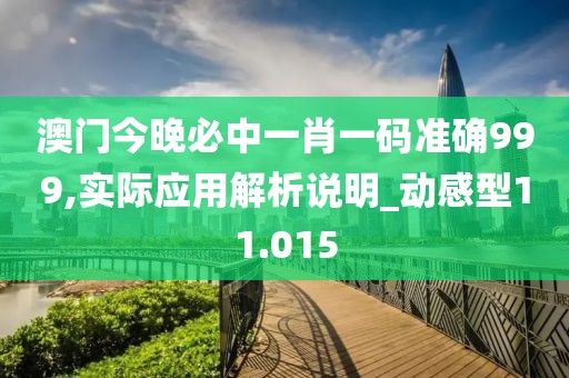 澳门今晚必中一肖一码准确999,实际应用解析说明_动感型11.015