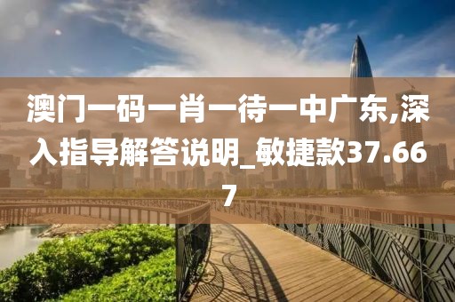 澳门一码一肖一待一中广东,深入指导解答说明_敏捷款37.667