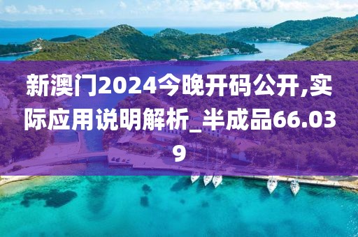新澳门2024今晚开码公开,实际应用说明解析_半成品66.039