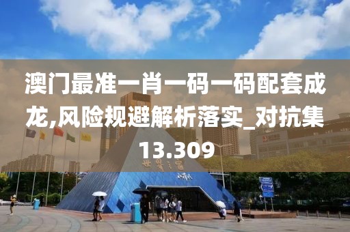 澳门最准一肖一码一码配套成龙,风险规避解析落实_对抗集13.309