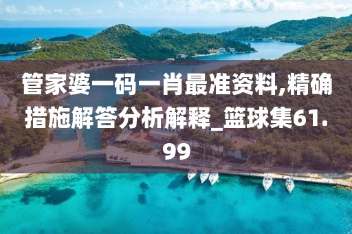 管家婆一码一肖最准资料,精确措施解答分析解释_篮球集61.99
