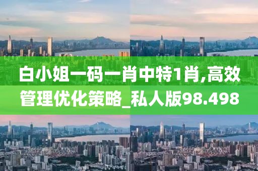 白小姐一码一肖中特1肖,高效管理优化策略_私人版98.498
