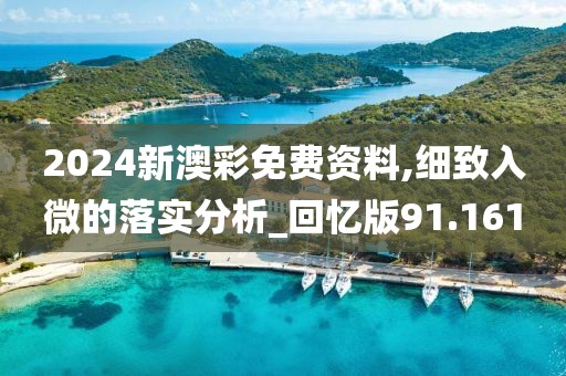 2024新澳彩免费资料,细致入微的落实分析_回忆版91.161