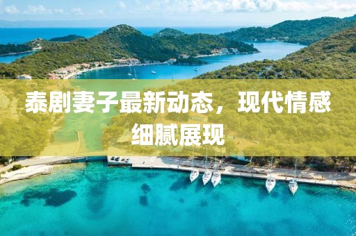 泰剧妻子最新动态，现代情感细腻展现