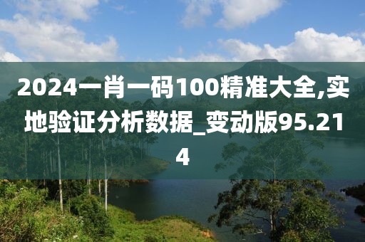 2024一肖一码100精准大全,实地验证分析数据_变动版95.214
