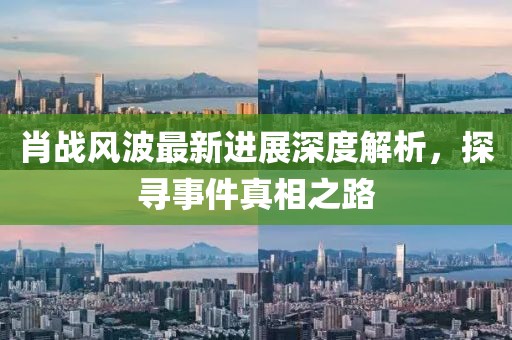 肖战风波最新进展深度解析，探寻事件真相之路