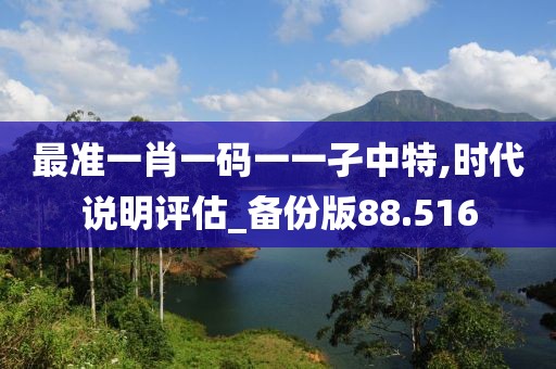 最准一肖一码一一孑中特,时代说明评估_备份版88.516