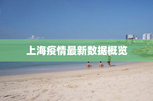 上海疫情最新数据概览