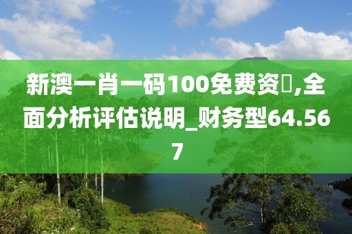 新澳一肖一码100免费资枓,全面分析评估说明_财务型64.567