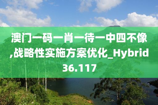 澳门一码一肖一待一中四不像,战略性实施方案优化_Hybrid36.117