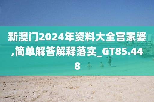 新澳门2024年资料大全宫家婆,简单解答解释落实_GT85.448