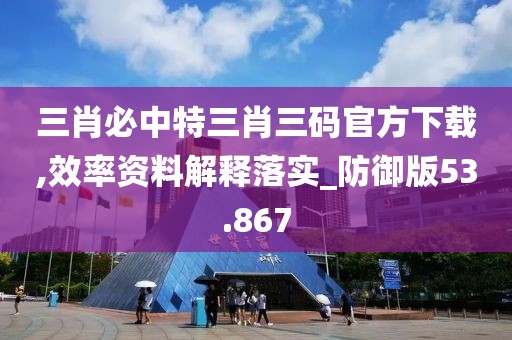 三肖必中特三肖三码官方下载,效率资料解释落实_防御版53.867