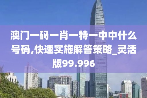 澳门一码一肖一特一中中什么号码,快速实施解答策略_灵活版99.996